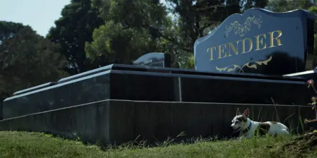 Tender Funerals Documentary and Crowdfunding Launch