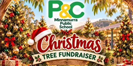 Minnamurra Public School Christmas Tree Fundraiser
