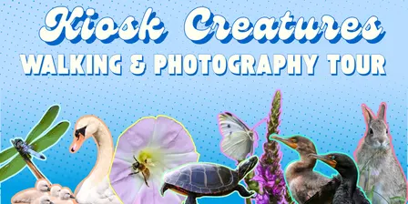 Kiosk Creatures Walking & Photography Tour
