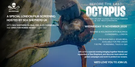 'BEFORE THE LAST OCTOPUS' - a film by Sea Shepherd Global - Screening and Q&A