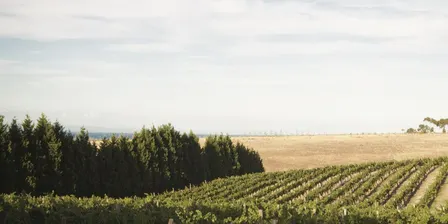 2026 Geelong Wine Show Awards Dinner