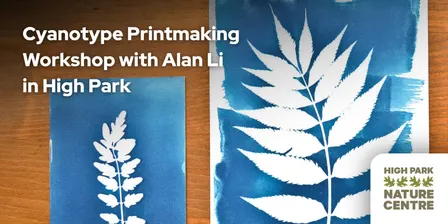 Cyanotype Printmaking Workshop with Alan Li in High Park