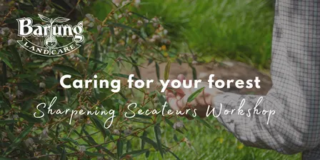 Caring for your forest: Sharpening Secateurs Workshop