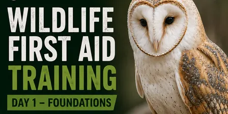 Wildlife First Aid Training - Day 1 - Foundations