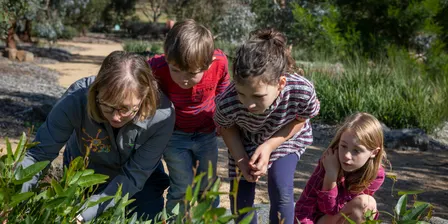 Wildflower Seed Spheres Workshop