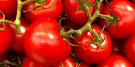 Terrific tomatoes and other warm weather gardening tips