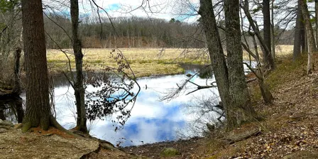 Meditative Walk