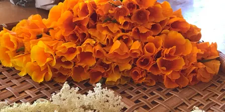 3 x 3 Herbal Workshops 3. Mental Health