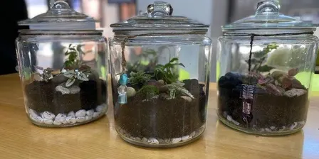 Terrarium Workshop ~ create your own little lush garden ~ over 55s