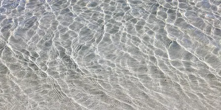 The Breathwork Collective: November Morning 1-1 Breath Circle