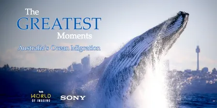 The Greatest Moments