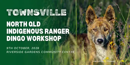 Townsville - North Queensland Indigenous Ranger Dingo Workshop 2026