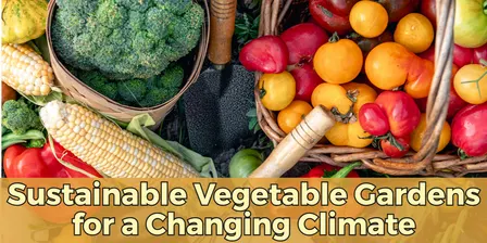 Sustainable Vegetable Gardens in a Changing Climate