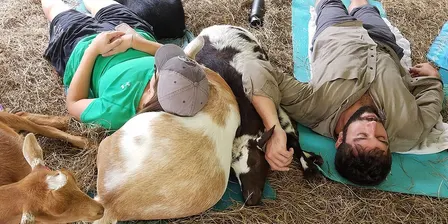 Goat Snuggles + Q and A with a Farmer