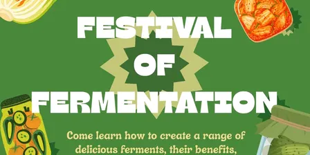 Festival of Ferments: A Community Allotment Event