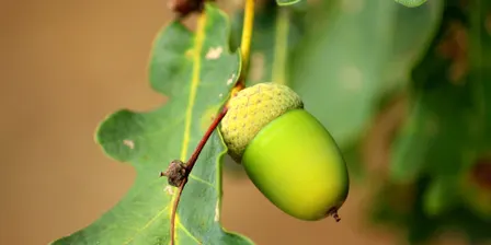 Nature Tales: Ch Ch Ch Changes