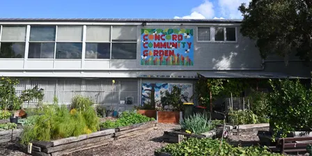 Concord Community Garden Open Day