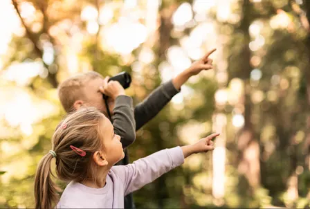 Billabong Bioblitz: Kids Animal Adventure Walks