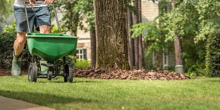 Lawn Workshop with Andrew