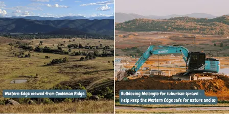 Canberra's Western Edge walks - Cooleman Ridge, 25 October 2026