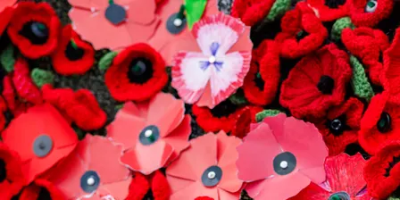 The Poppy Project - Children's Workshop