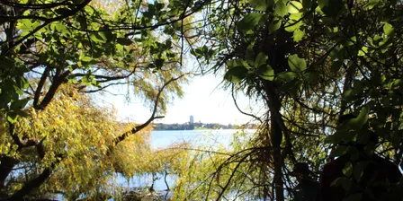 Pupuke Moana Planting