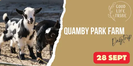 Daytrip - Quamby Park animal encounters (departing Canberra)