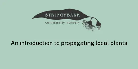 An introduction to propagating local plants