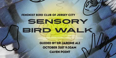 Sensory Bird Walk