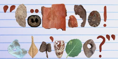 Translation in Clay: Interspecies Poetics with Worm School