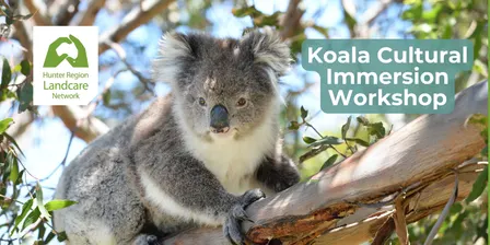 Koala Cultural Immersion Workshop