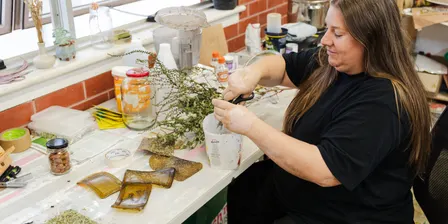 'Leaves: Eco-Anxiety' Artist Sharing: Stephanie Doddridge