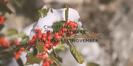 Christmas Fair at Ewhurst Park