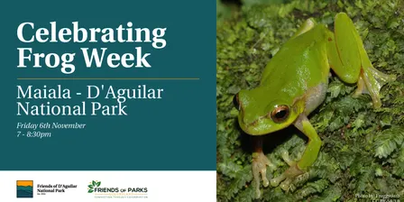 Frog Walk at Maiala - D'Aguilar National Park
