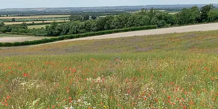 LENS Training Event - Law Farming - Royston