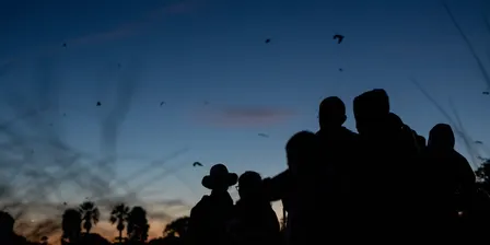 Spooky Spotlight - Halloween Fun