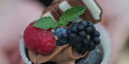 2026 Vegan Festival Adelaide