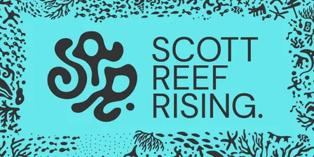 Scott Reef Rising