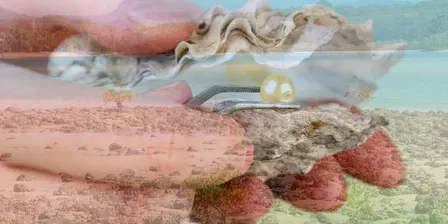 Altered Tides: The Gold Coast is Your Oyster