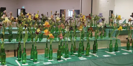 South Australian Iris Society Annual Show