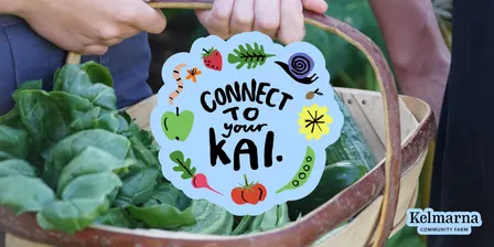 Connect to Your Kai: Food at Your Fingertips (Talk and Potluck)