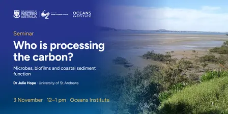 SEMINAR: Who is processing the carbon? Microbes, biofilms and coastal sediment function with Dr Julie Hope