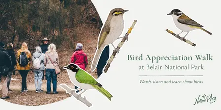 Bird Appreciation Walk at Belair National Park