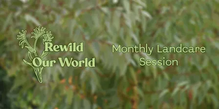 Rewild our World Monthly Landcare Session - October Gladi Grab