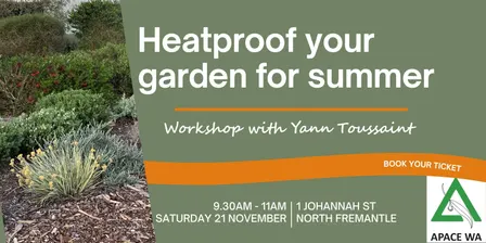 Heatproof your garden for summer