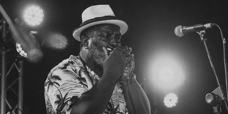 Dust Me Down Blues Band