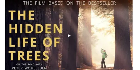 TTV Movie Night - The Hidden Life of Trees