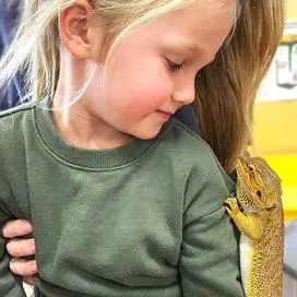 Reptile Discovery - Southbridge