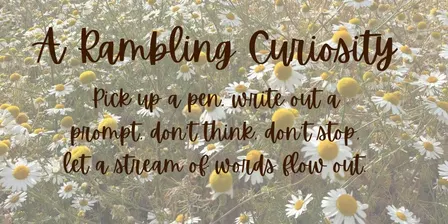 A Rambling Curiosity