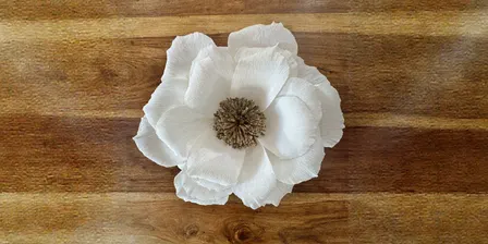 Christmas Giant Wallflower Workshop – Vend Marketplace